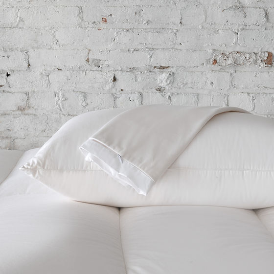 Absolute Pillow Protector-Gina's Home Linen Ltd