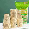 Bamboo Fiber Disposable Cups Rieworkes