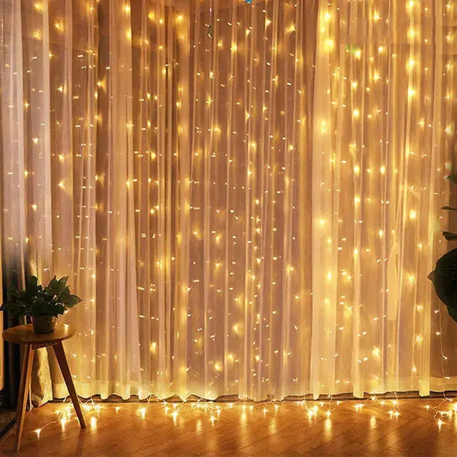 Warm White / 3MX2M 200LED