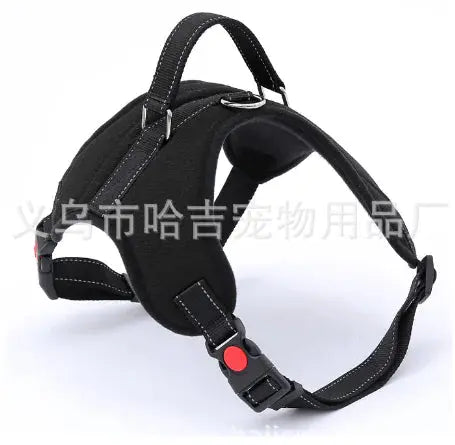 Black / L