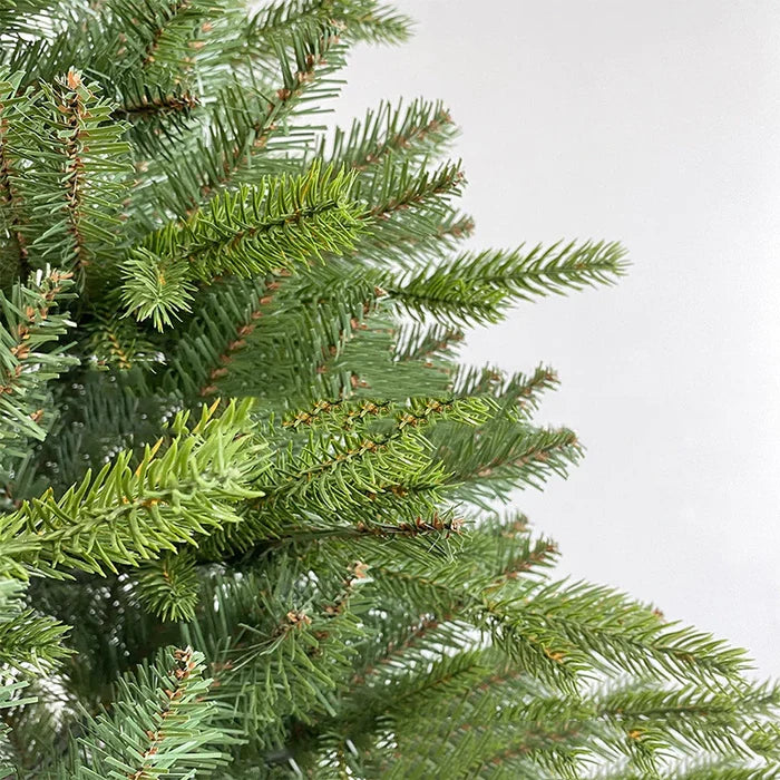 Fir Christmas Tree Rieworkes