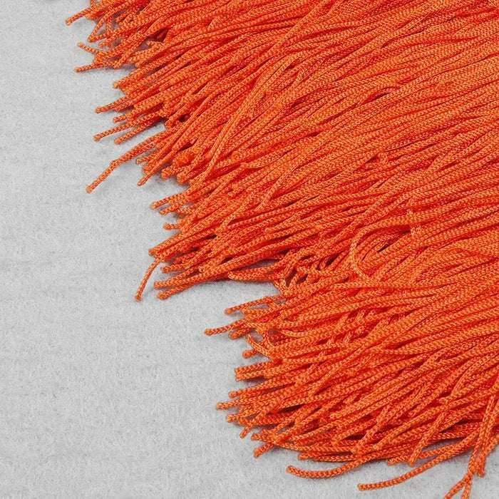 Fringe  Halterneck Backless Dress Rieworkes
