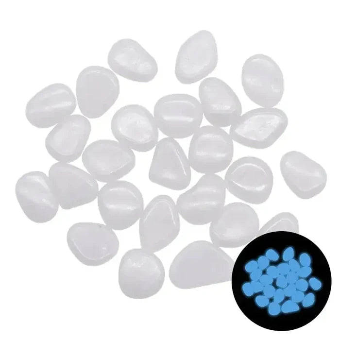 White / 25pcs