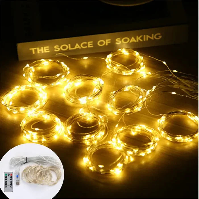 LED Curtain Garland Lights Rieworkes