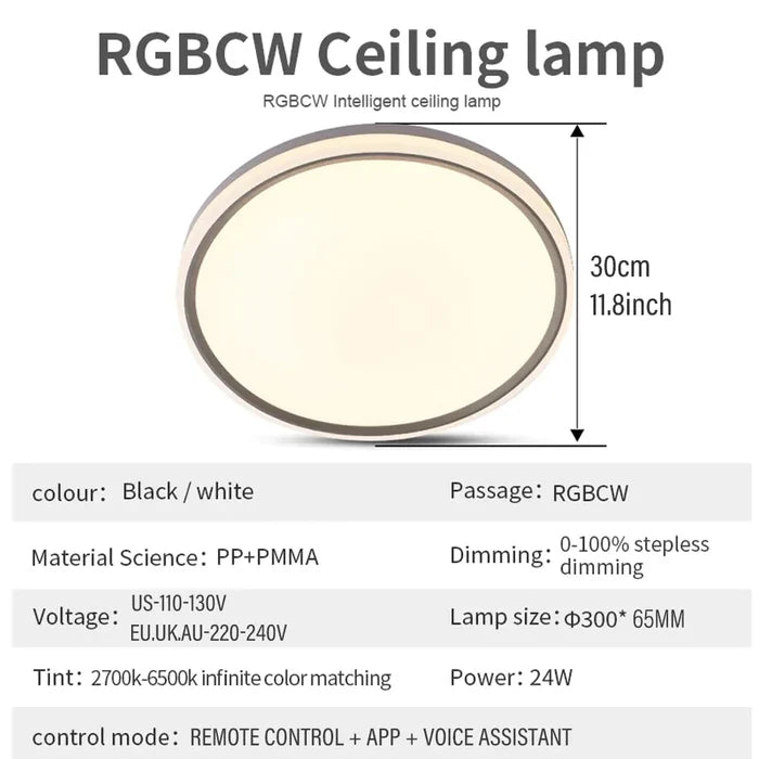 Living Room 24W Slim Ceiling Light Rieworkes