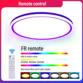 Remote Control / 220V-240V 24W