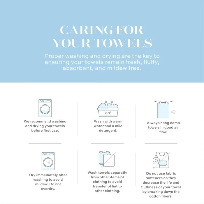 Luxury Soft Beige Bath Sheet Towels 2 Pack Extra Large 35x70 inch 650 GSM Rieworkes