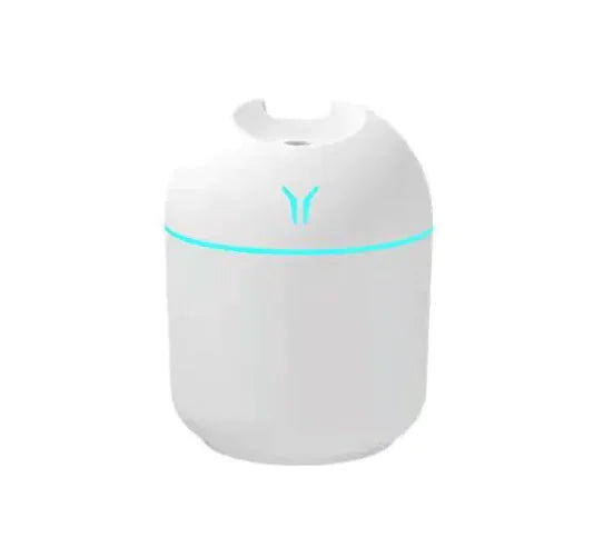 Mini Humidifier Rieworkes