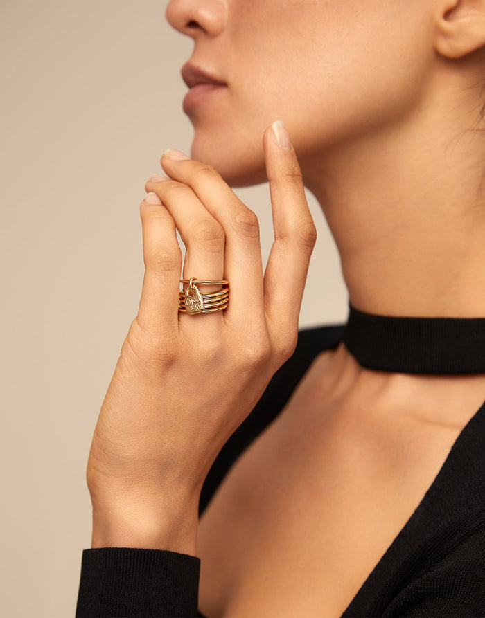Multi row ring with a charm