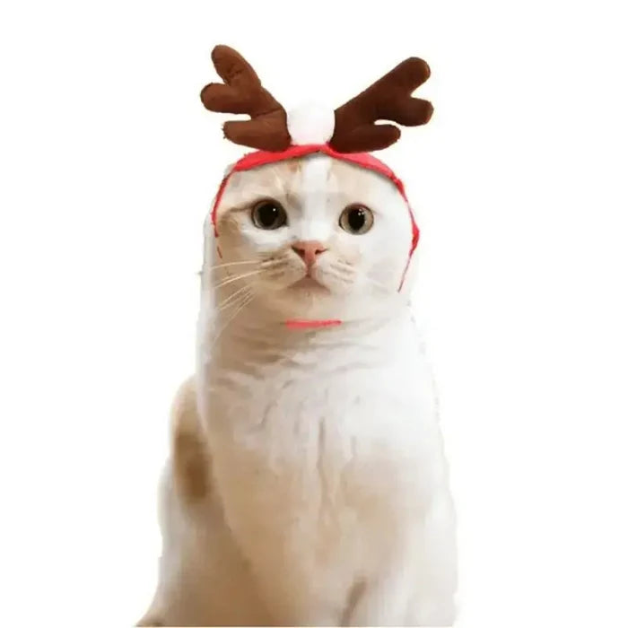 Pet Christmas Clothes Rieworkes
