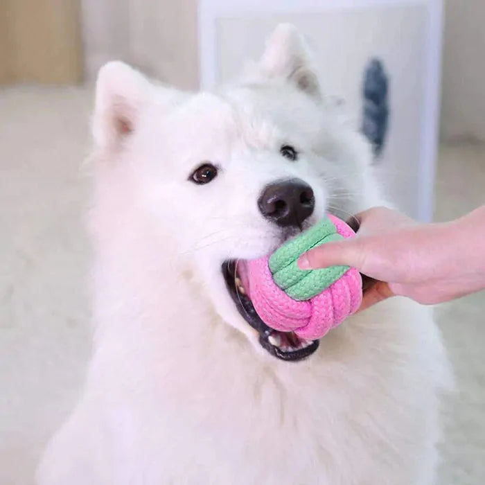 Pet Dog Chew Toys Rieworkes