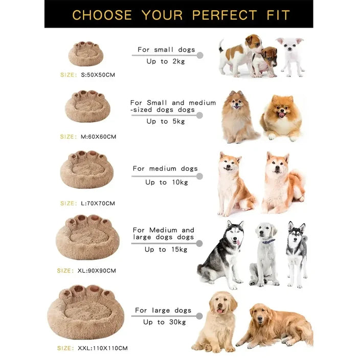 Pet Dog Sofa Beds Rieworkes