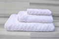 WHITE / HAND TOWEL 2Pk