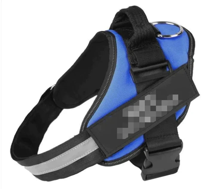 Blue / XXL