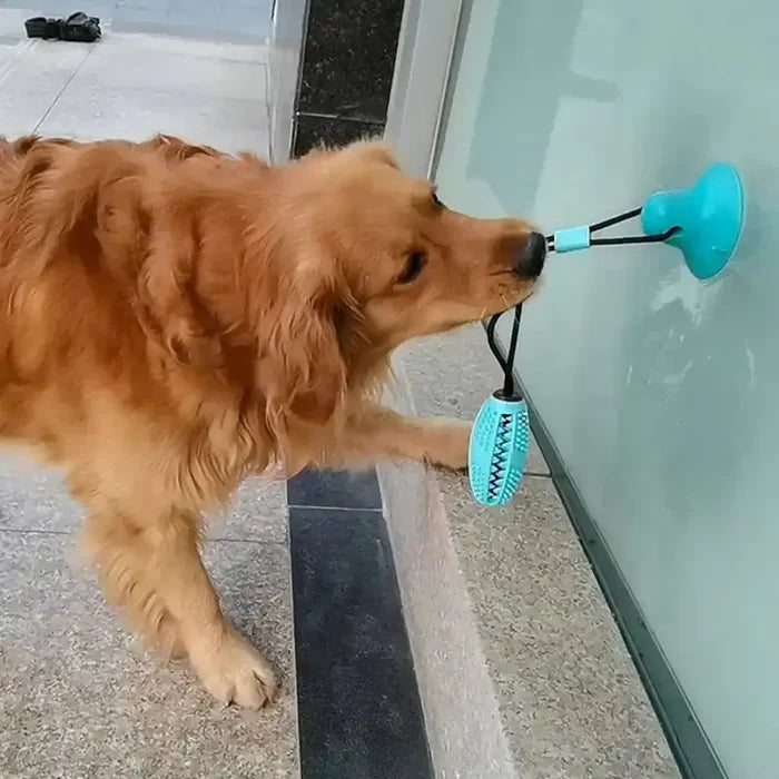 Silicone Suction Cup Dog Toy Rieworkes