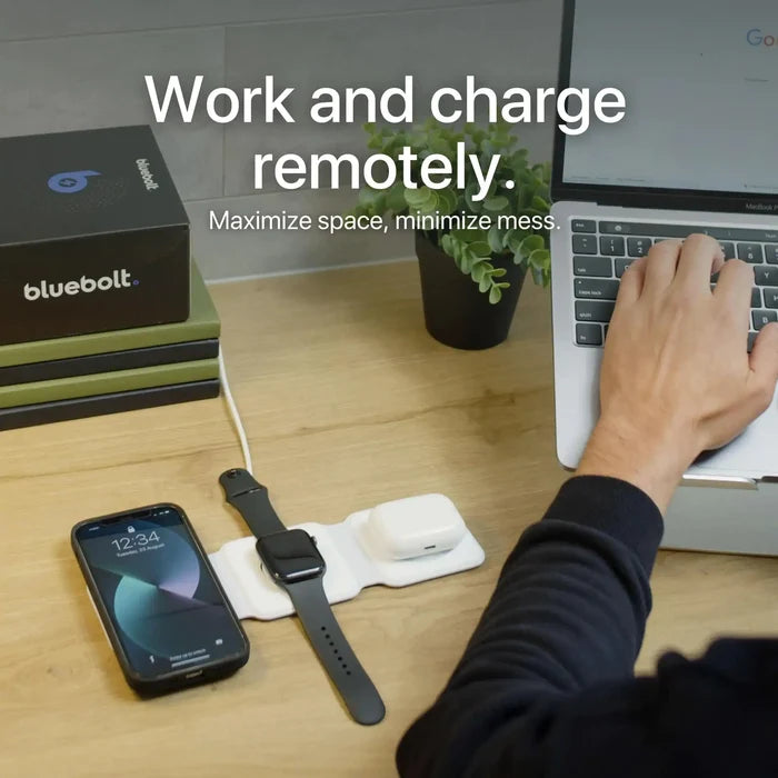 Tri Plug Charger Rieworkes