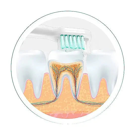Ultrasonic Electro Toothbrush With Two Additional Brush Heads Rieworkes